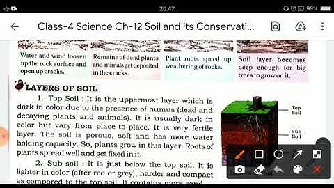 Class 4 Science Ch 12 Soil and its Conservation  Part 1