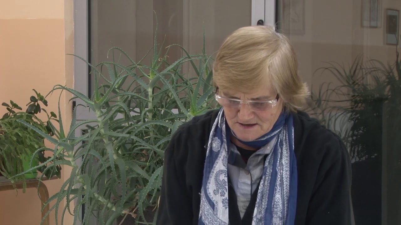 Во општина Петровец