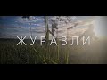 Песни Великой Победы - &quot;Журавли&quot;