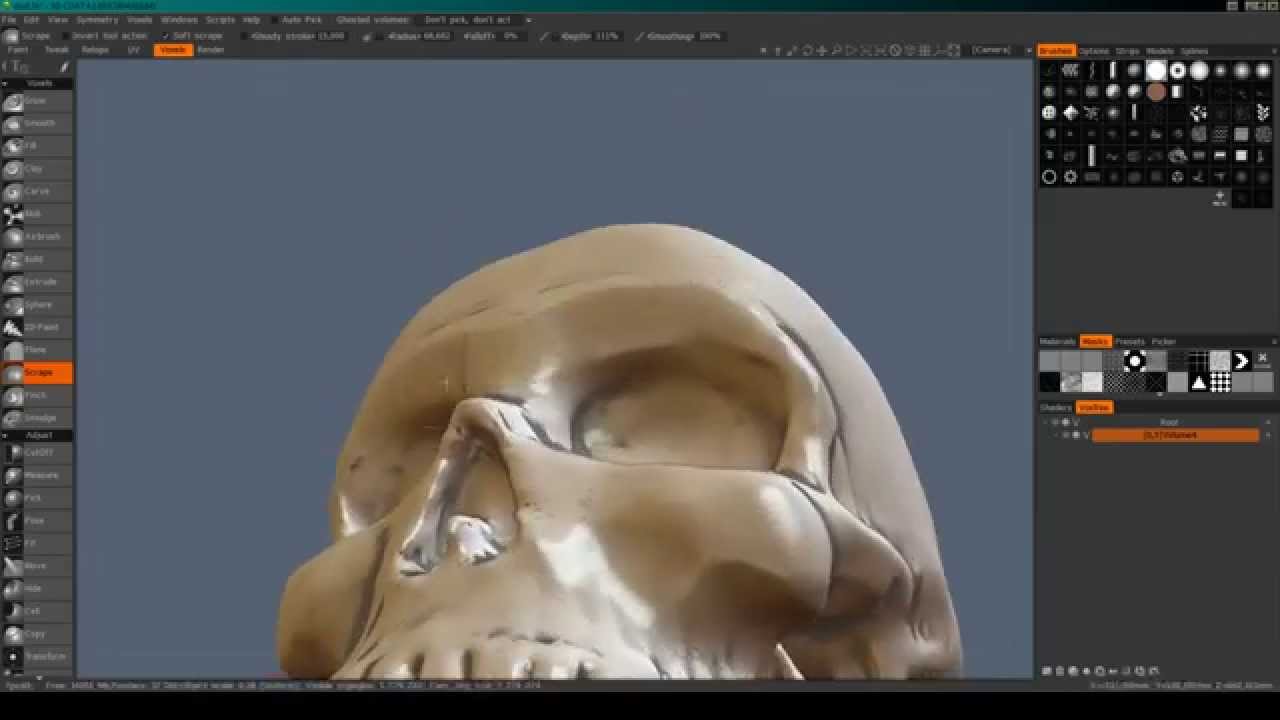 sculpting in 3d coat sculpting in 3d coat
