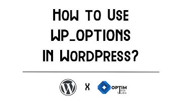 How to Use WP OPTIONS in WordPress | Add, Update & Delete Options in WordPress | WordPress Tutorial