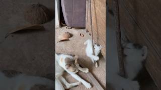 Kannodu Kandappol Kandethi Njan