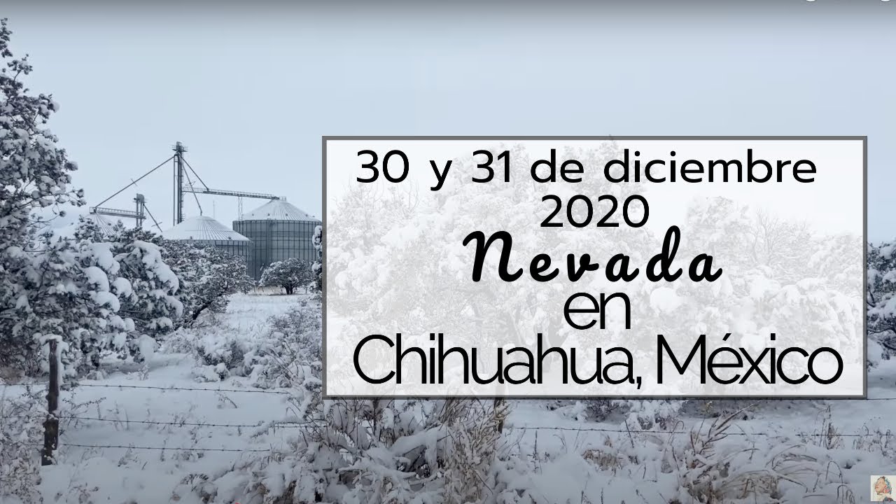 Nieve en Chihuahua, MEXICO Campos Menonitas YouTube