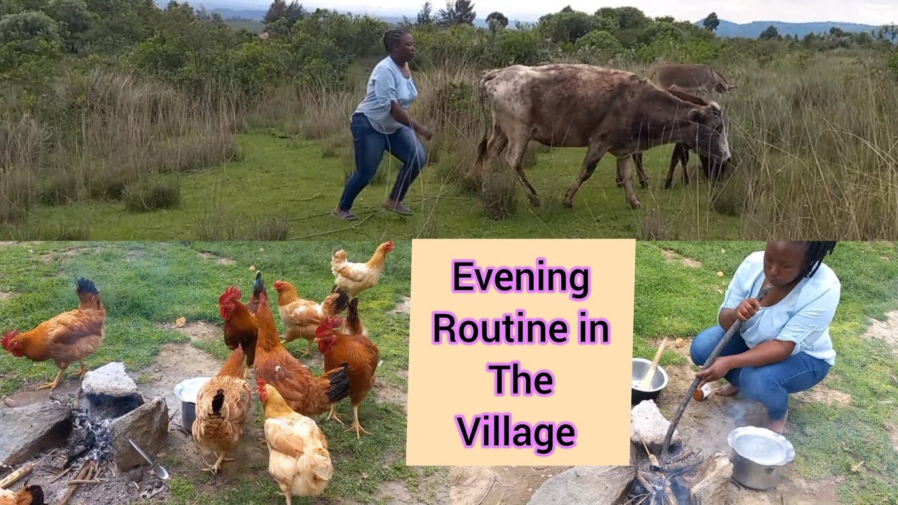 My Typical African Evening Routine In The Village//Village lifestyle ...