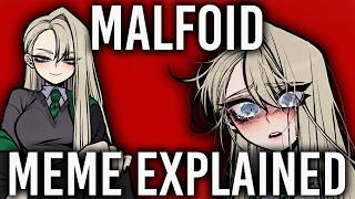Draco Malfoid Meme EXPLAINED!