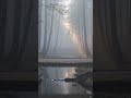 The Path That Disappeared