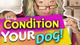 The only way to keep your dog from matting!! screenshot 5