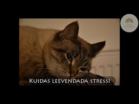 Video: Kuidas Stressi Leevendada