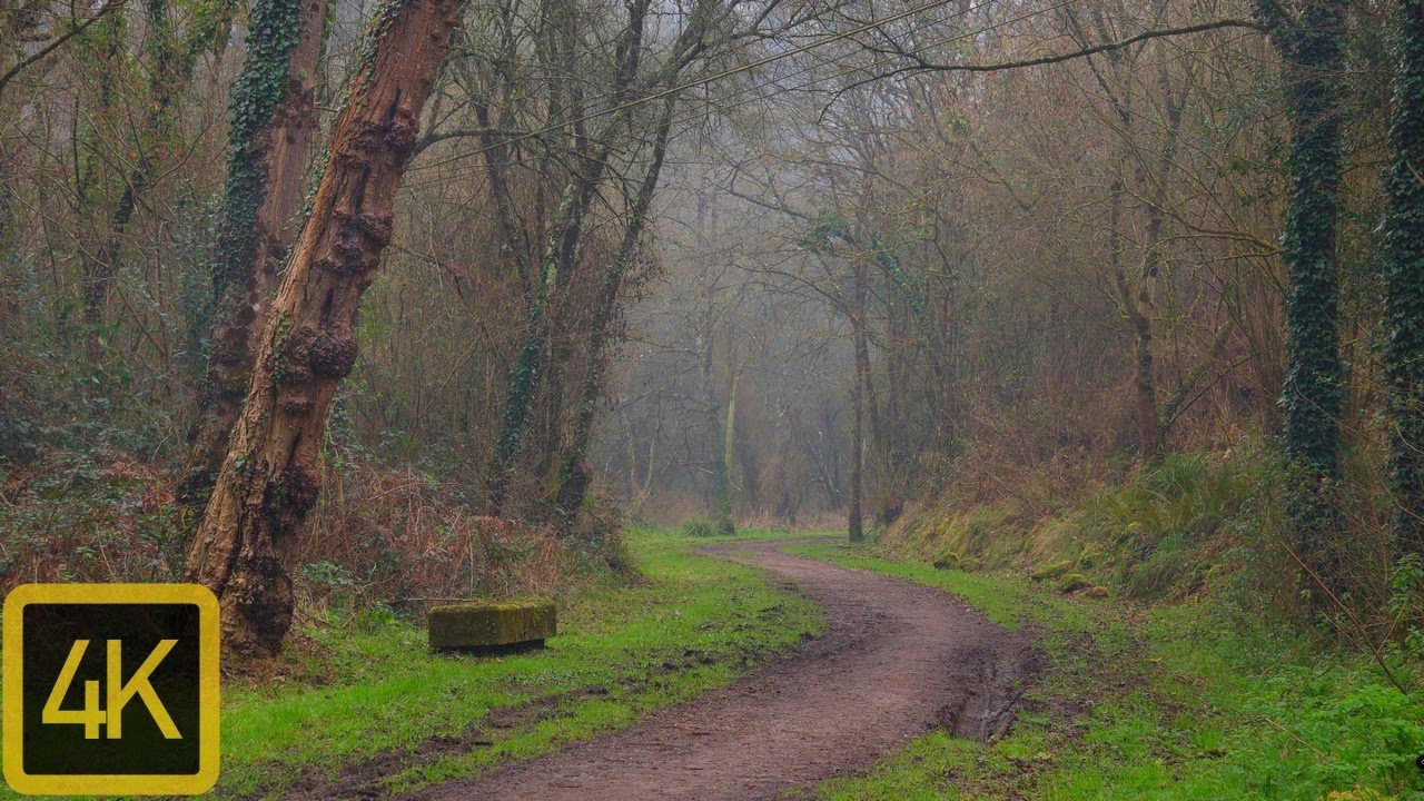 Parque La Cebera. Lugones, Siero. Principado de  Asturias.4K.