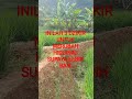 3 DZIKIR UNTUK MERUBAH HIDUPMU SUPAYA LEBIH BAIK #dakwah#vidioshort #doa #amalan