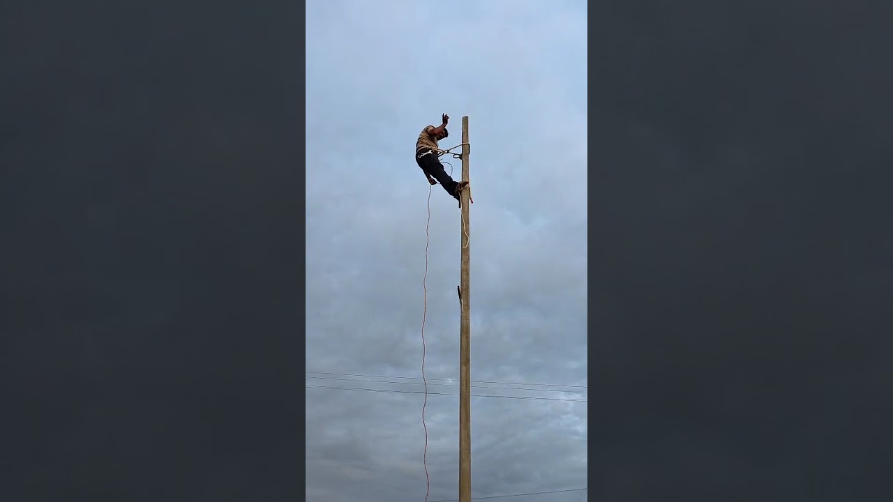 Field Assistant Practical Training