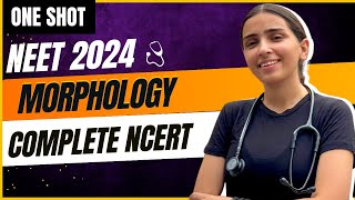 NEET 2024 Morphology in One Shot | Class-11 Biology.