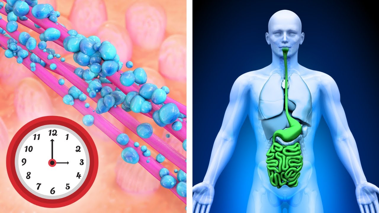 How To Tell If Your Gut Is Healthy With A Simple Home Test - YouTube