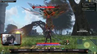 SkyForge [ENG] Leveling My Paladin