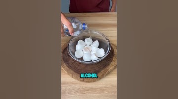 He Added Alcohol In Eggshells And Shocked Everyone 😱 #viral #diy #shorts #hack