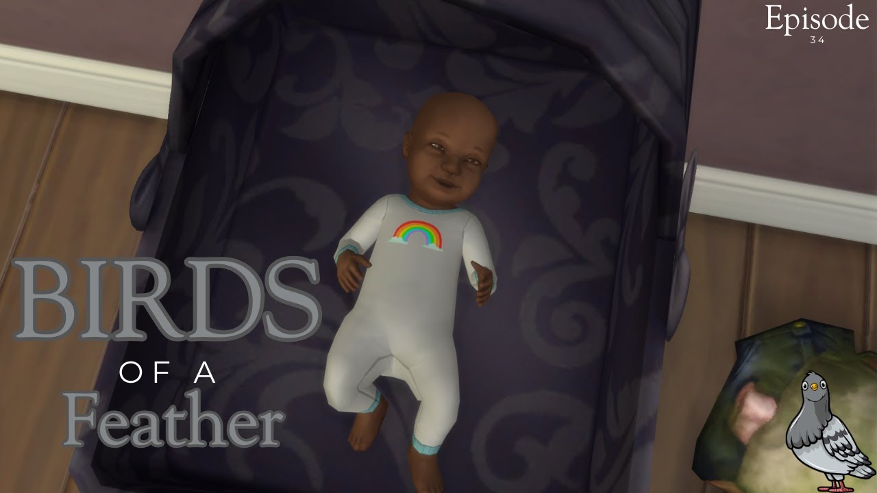 Birds Of A Feather Episode 34 Family Leave Sims 4 Challenge YouTube birds-of-a-feather-episode-34-family-leave-sims-4-challenge-youtube