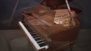 Steinway Model M 57 Grand Piano Walnut Restored (#277781)