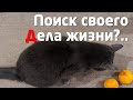 ПОИСК СВОЕГО ДЕЛА ЖИЗНИ и ПРОФЕССИИОНАЛИЗМ...