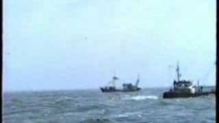 Vijf Eurokotters Op Zee B.601-Th.36-Th.25-Z.85-Z.122