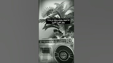 تلاوه رائعه من الشيخ علي جابر / ali jaber
