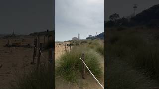 Meereskunst: Die Magie der Holzskulpturen am Strand Bibione