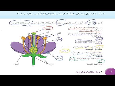حل أسئلة و شرح أجزاء الزهرة كتاب العلوم الصف الخامس المنهاج العماني