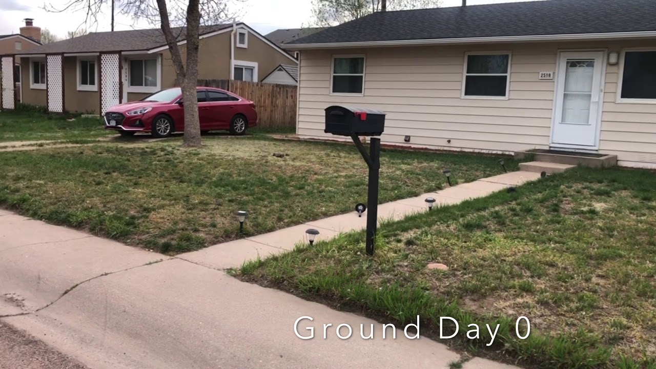 How to Lay Sod - YouTube