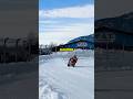Así Es Como Los Motociclistas Vencen La Nieve 🌨️ #Motos #Curiosidades #Invierno #Deportes