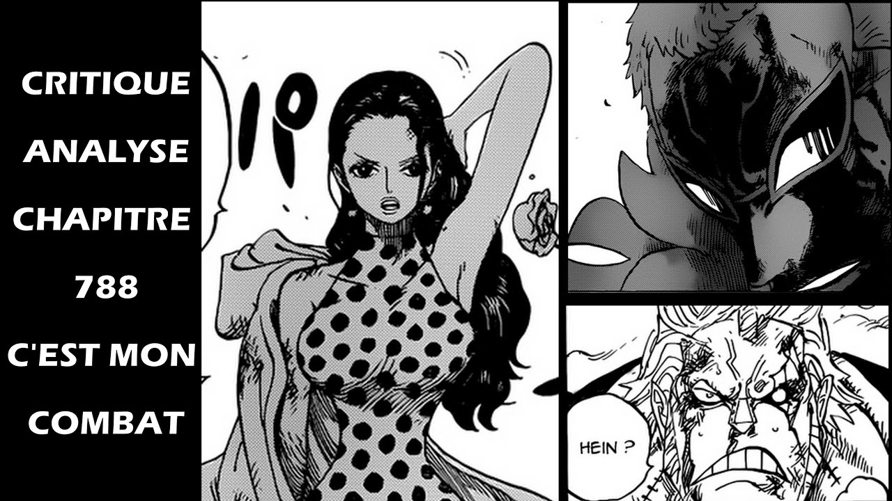 One Piece chapitre manga 788 - Analyse et Critique - C'est mon combat