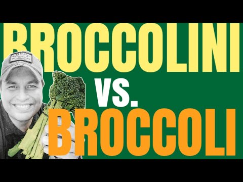Broccolini vs. Broccoli: What Is #Broccolini? #Vegetables 101