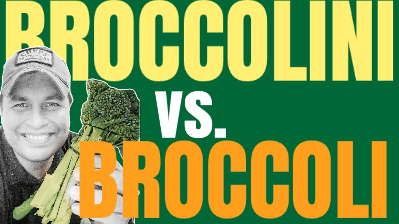 Broccolini Vs Broccoli: Nutritional Smackdown!