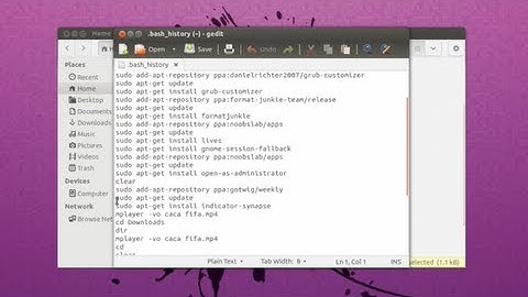 Delete Terminal History - Ubuntu 13.04