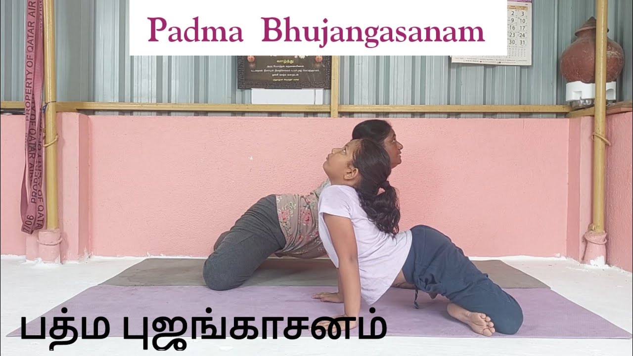 Padma Bhujangasanam | பத்ம புஜங்காசனம் @yogavazhvu