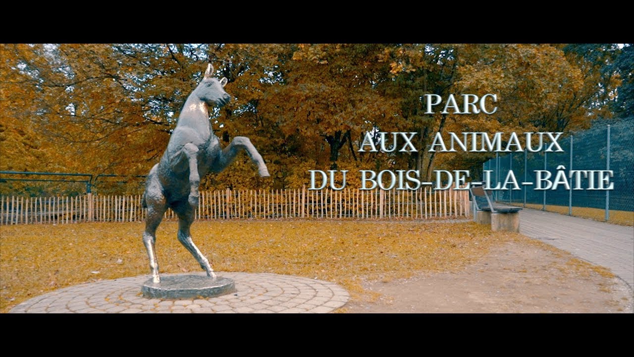 parc-aux-animaux-du-bois-de-la-b-tie-youtube