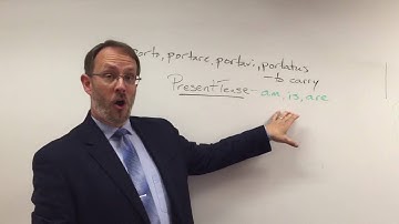 Latin 1 - 1st conjugation present