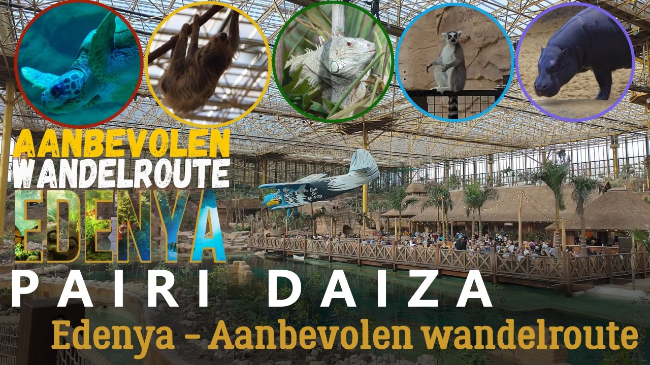 EDENYA @ Pairi Daiza 2026 - Dit is de aanbevolen wandelroute doorheen Edenya
