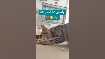 #تلاوة_خاشعة #اسلام_صبحي 🌹☺️ #اكتب_شي_تؤجر_عليه #اكسبلور #لايك #المصحف #ترند #قرآن #راحة_نفسية
