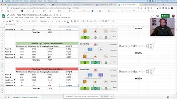🧪 Lab #5 - Food Webs & Trophic Cascades Virtual Lab Video