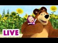 🔴 AO VIVO 👱♀️🐻 Masha e o Urso 👪 Reunião de família 🤗💖 Masha and the Bear