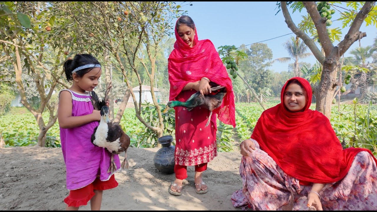 আয়াতের প্রশ্ন ছেলে হাঁসরা ডিম পাড়েনা কেন | Doyel Agro