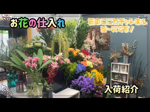 Flower shop] Introducing new cut flowers! We've got some