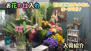 Flower shop] Introducing new cut flowers! We've got some summer