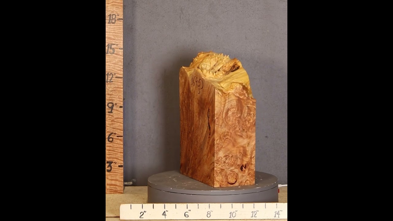 D1695 5A Block Curly Burl Maple Lumber
