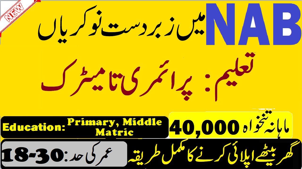 NAB Jobs 2019 | National Accountability Bureau Jobs 2019 | New Govt Jobs | Learning Zone