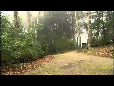 Mort de Céline à Saint-Malo: piste criminelle ?