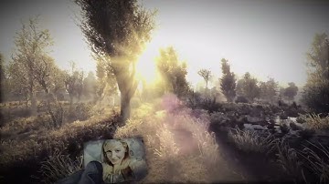 Edit STALKER Anomaly Custom (Toska)