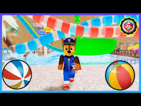 Paw Patrol 🌊 Chase Go to the Water Park｜PawPawGo Adventure