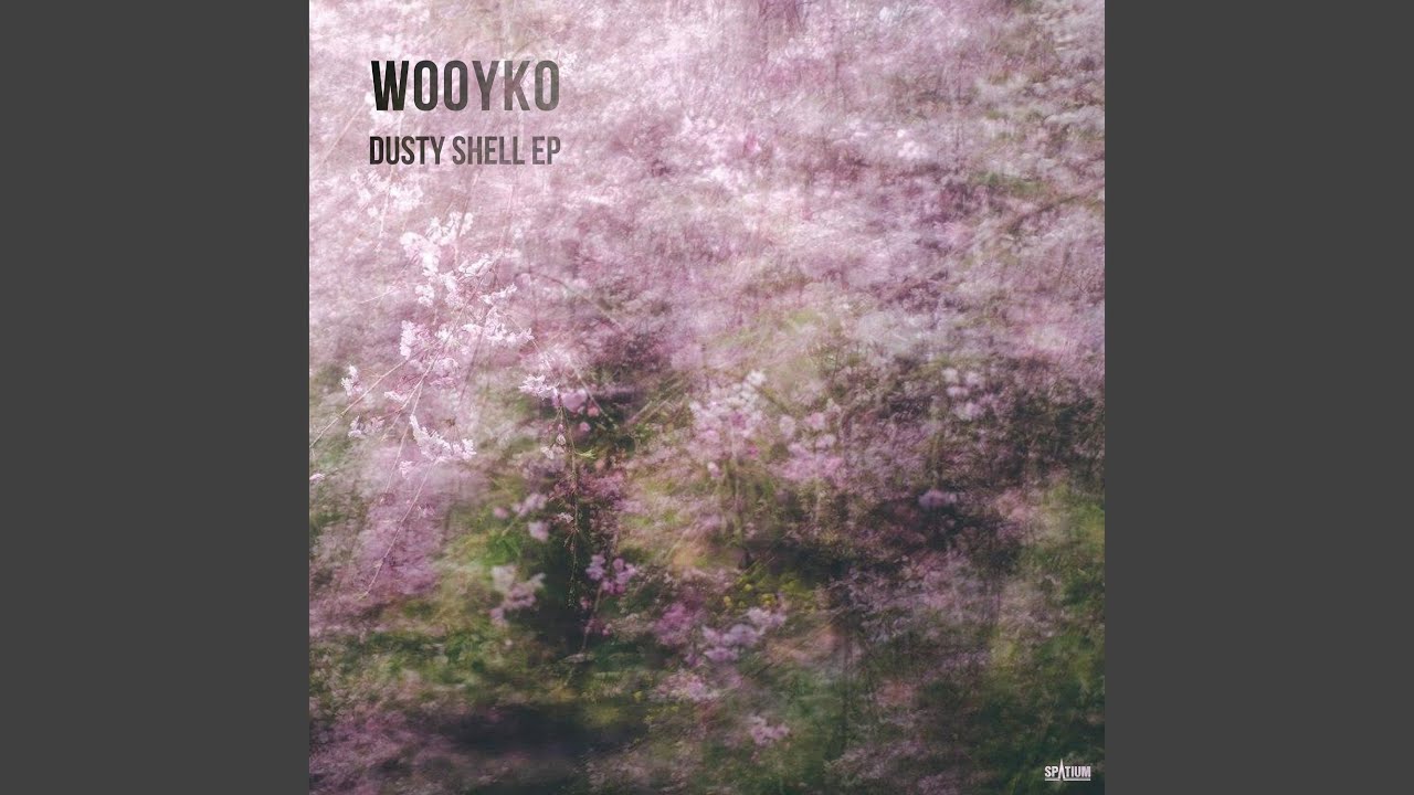 Dusty Shell (Original Mix)