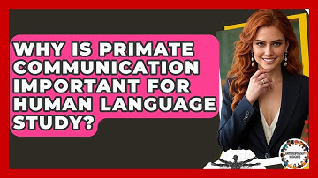 Why Is Primate Communication Important For Human Language Study? - Anthropology Insights