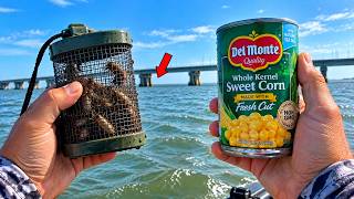 These SECRET Baits Catch MORE Sheepshead Than Fiddler Crabs!